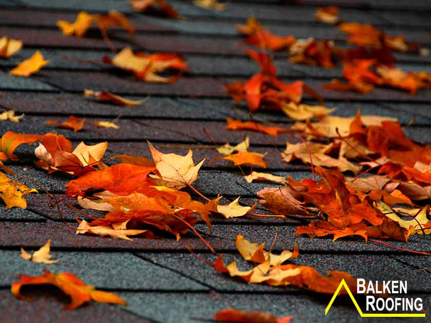 The Homeowners Guide To Fall Roof Maintenance