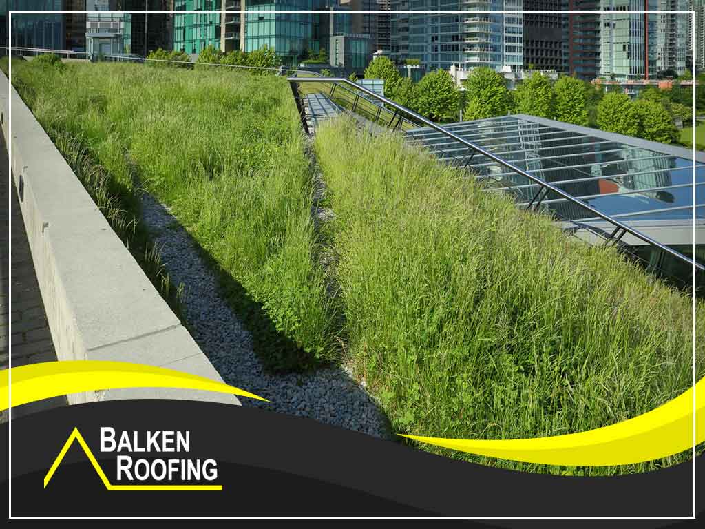 Debunking Myths About Living Roofs