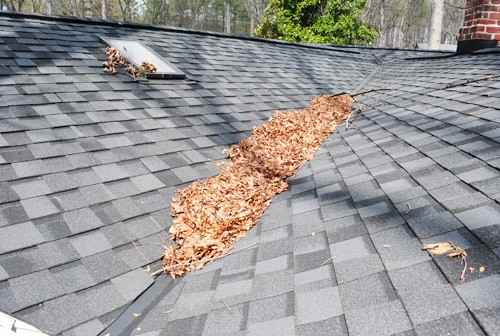 roof maintenance