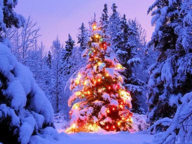 Christmas Roofing